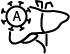 category2Images
