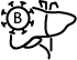 category2Images
