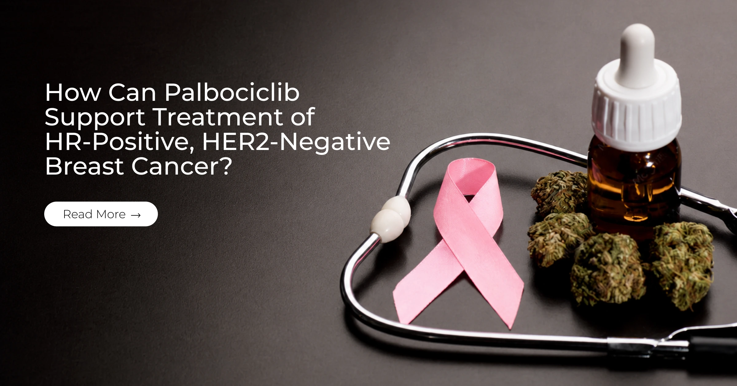 How Can Palbociclib Support Treatment of HR-Positive, HER2-Negative Breast Cancer?