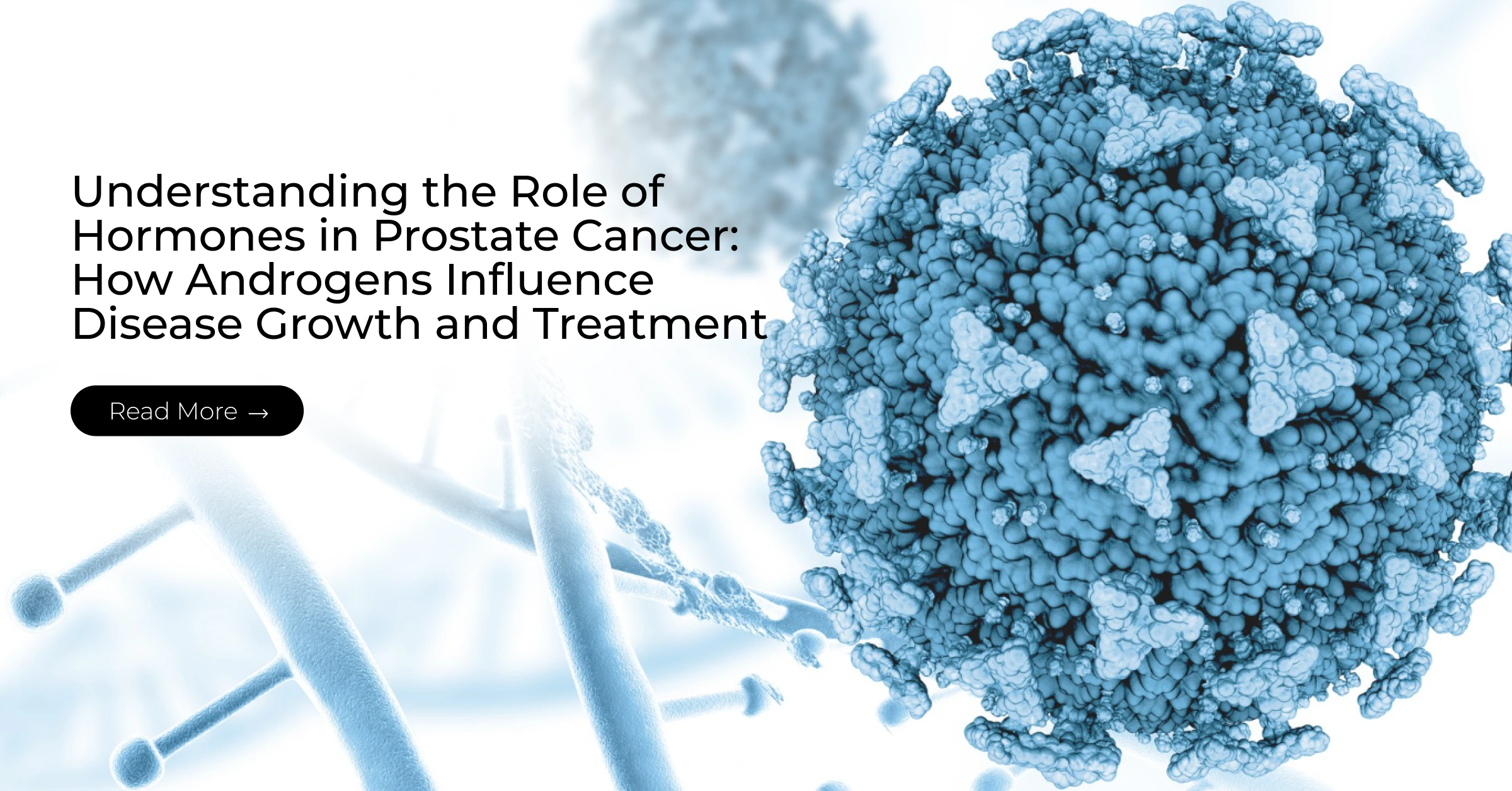 Understanding the Role of Hormones in Prostate Cancer: How Androgens Influence Disease Growth and Treatment