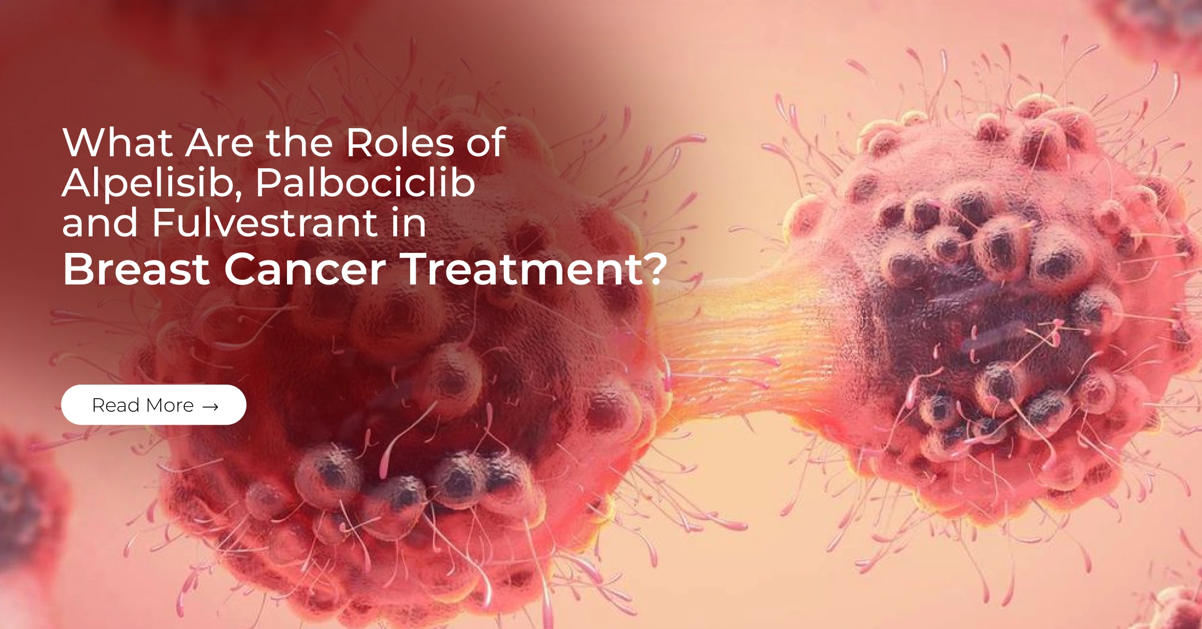 What Are the Roles of Alpelisib, Palbociclib and Fulvestrant in Breast Cancer Treatment?